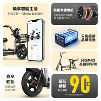 凤凰电动车新国标电动自行车成人双人长续航男女电瓶车中小型电单车助力车代步车 【 全国联保 假一赔十】 【车架配件】详情咨询客服