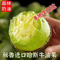 鲜级佳秘鲁牛油果大果鳄梨非即食新鲜采摘宝宝辅食水果当季 80%的选择 100-130g 8枚