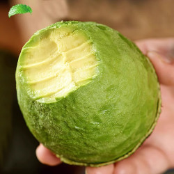 鲜级佳 秘鲁牛油果大果鳄梨非即食 101-140g【6枚】