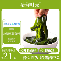 清鲜时光 盐渍裙带菜叶1500g净重 盐渍海带凉拌烫涮火锅炖煮 源头直发包邮