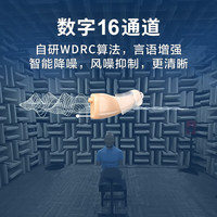 欧仕达奥戈兰数字隐形耳内式充电助听器年轻老人重度耳聋耳背专用Fi6 【Fi6 双耳肤色】16通道 | 适用重度听损