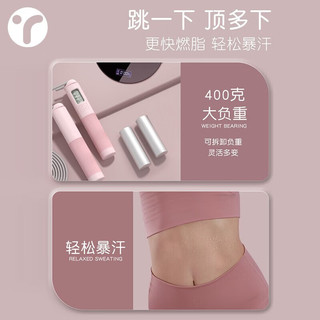 英瑞特（YINGRUITE） 无绳计数跳绳款减肥运动专业燃脂男女生重力负重绳室内 布鲁灰智能款【无绳+有绳】