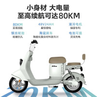 绿源 电动车ZKT新国标48V24AH锂电池液冷电机长续航电动自行车静谧灰