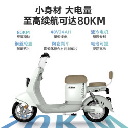 绿源 电动车ZKT新国标48V24AH锂电池液冷电机长续航电动自行车静谧灰