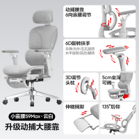 国家补贴、PLUS会员：网易严选 S9 MAX 人体工学电脑椅 云白 有搁脚款