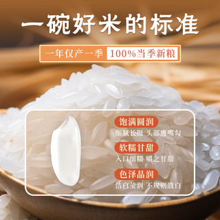 铁力大米 铁力东北珍珠米 10kg 袋装