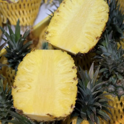 京鲜生 海南金钻凤梨净重8斤 单果650g 4-6粒
