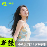 精品小团无购物！伊犁环线 8天7晚6人跟团纯玩小团赛里木湖那拉提