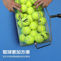 天龙（Teloon）网球捡球器可伸缩调节高度便携乒乓球拾球集球推筒 T115-55 不锈钢捡球滚筒