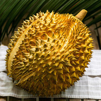 小憨哇泰国金枕头榴莲新鲜带壳应季水果整箱精品老树果整箱鲜果 净重2.5-3斤