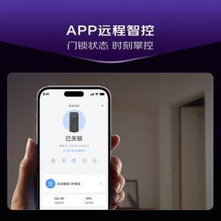 凯迪仕 Q3-W WIFI智联 智能门锁