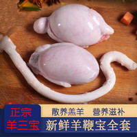 灵澈 国产新鲜羊鞭羊宝 2斤（约5个）