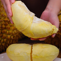 优味集泰国金枕榴莲【JD】鲜果巴掌榴莲当季热带水果整箱 【高出肉率】5-6斤(1-2个装)