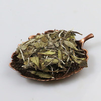 金馆长福鼎白茶白牡丹饼2022年新茶高山日晒白茶300g