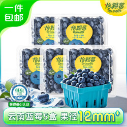 怡颗莓 云南蓝莓 125g*5盒装