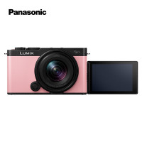 今日必买：松下 Panasonic S9（18-40mm F4.5-6.3）套机 （Panasonic）全画幅微单 实时Lut 滤镜直出 连接app极速分享-粉