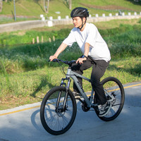 喜德盛山地自行车旭日310铝合金车架21速入门通勤成人单车 石岩灰 17