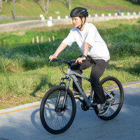 喜德盛 旭日310 铝合金车架21速山地自行车 石岩灰