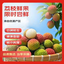 京鲜生 广东妃子笑荔枝 单果18g+净重5斤