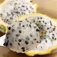 南步海南燕窝果麒麟果黄色黄皮火龙果新鲜热带水果高端礼盒 精选3斤 大果【3-4两】礼盒装