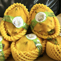 南步海南燕窝果麒麟果黄色黄皮火龙果新鲜热带水果高端礼盒 精选5斤 中果【2-3两】礼盒装