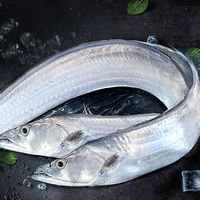 东上御品四指带鱼段特宽中段新鲜冷冻特大号刀鱼段生鲜海鲜水产