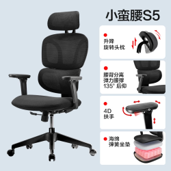 网易严选 S2 人体工学电脑椅 升降扶手款