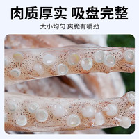 尚致鱿鱼须冷冻新鲜鱿鱼现切免处理鱿鱼爪铁板鱿鱼生鲜火锅烧烤食材 鱿鱼须 ()