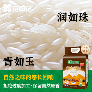  花中花 当季新米 籼米