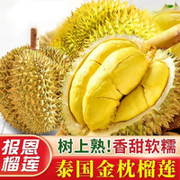 芫曦 榴莲金枕新鲜果整箱一整个带壳泰国巴掌金枕头榴莲一箱 8-10斤(2-4个装)