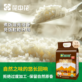  花中花 当季新米 籼米