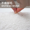 圣瓦伦丁地毯客厅卧室床边地毯地垫防滑加厚隔凉毛绒毯极简风 60*120cm 诗晴花艺