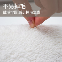 圣瓦伦丁地毯客厅卧室床边地毯地垫防滑加厚隔凉毛绒毯极简风 60*120cm 诗晴花艺