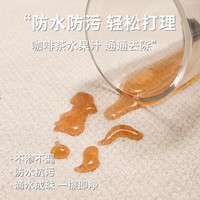 圣瓦伦丁地毯客厅卧室床边地毯地垫加厚秋冬季保暖毛绒毯极简风 60*120cm