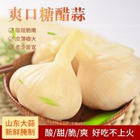 山东精品糖蒜腌制大蒜传统腌制糖醋蒜头泡菜火锅蒜咸菜