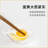 九華粮品散养土鸡蛋50枚 净重3.8斤  新鲜草鸡蛋 月子蛋 宝宝蛋 