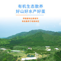 九華粮品A+级有机富硒鸡蛋20枚 1.68斤 礼盒 日期新鲜 源头直发  A+级有机富硒鸡蛋20枚 源头直发