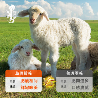 阿吉纳 内蒙古羔羊羊肉卷 草原散养 原切羊肉片 火锅食材 羊肉生鲜 原切羊肉卷 1.8斤