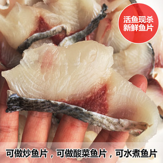 品鲜肴 淡水鱼 生态胖头鱼 花鲢鱼 鲜活鱼现杀鱼片 鱼肉 生鲜水产品 胖头鱼鱼片（鱼肉）