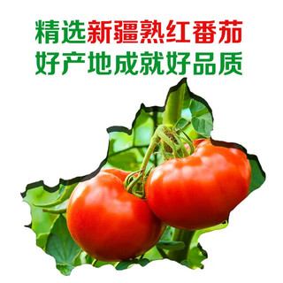 厨邦 番茄沙司320g浓郁番茄味酸甜可口意面披萨薯条沙拉锁鲜挤袋装 番茄沙司320g*4