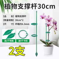 醉花 植物防倒伏支架铁艺绣球吊兰支撑杆园艺固定架爬藤花卉朱顶红花架