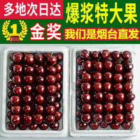 樱桃小口YS【多地次日达】山东烟台大樱桃新鲜礼盒应季水果国产车厘子 2.7斤(净重) 中果(22-25mm)尝鲜