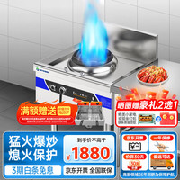 碧野 燃气灶商用节能灶天然气灶煤气液化气灶厨房台嵌两用灶具BX-JZ60BL