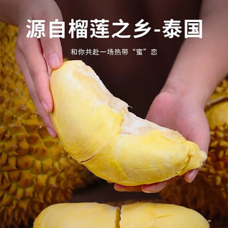 芫曦榴莲金枕新鲜果整箱一整个带壳泰国巴掌金枕头榴莲一箱 8-10斤(2-4个装)