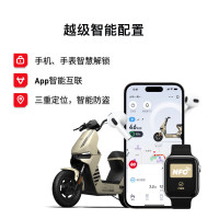 今日必买：小牛电动 F100 都市版 电动自行车 TDT13Z