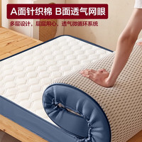 La Chapelle拉夏贝尔A类抗菌乳胶床垫宿舍单人90x190加厚学生可折叠褥子床被褥垫铺底 菱形白-厚约5cm【乳胶填充】 90x190cm学生床【拒绝塌陷】