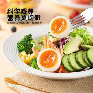 雀淘 可生食 鲜鸡蛋 30枚