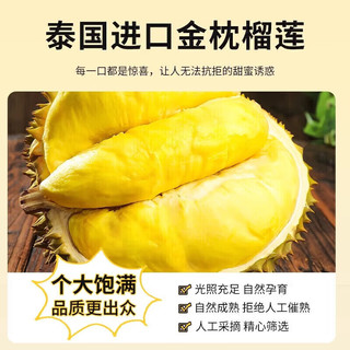芫曦榴莲金枕新鲜果整箱一整个带壳泰国巴掌金枕头榴莲一箱 8-10斤(2-4个装)