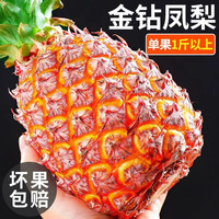 鼎鲜满 金钻凤梨树上熟海南新 凤梨中果4.5-5斤4-5个