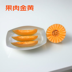 京地达 山东黄金哈密瓜 净重8-9斤 单果2斤起 2-4粒 水果源头直发 黄金哈密瓜8斤起（实惠装）
